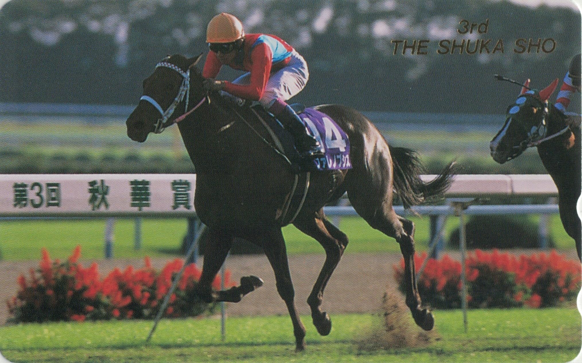 ファレノプシス　武豊　秋華賞　競走馬　写真　パネル　額縁入り　スポーツ新聞付き Amazon | テレホンカード テレカ 第3回 秋華賞 ファレノプシス 競馬